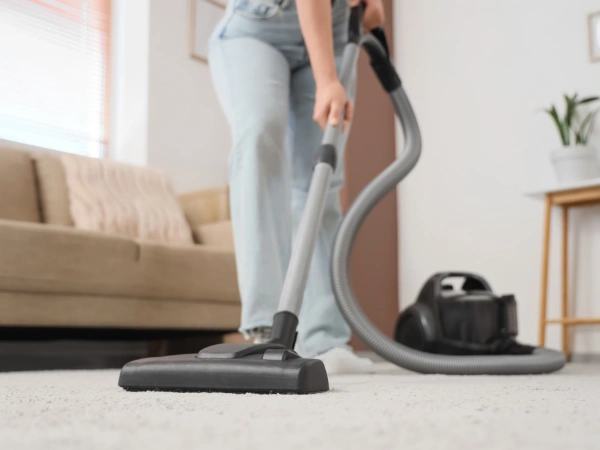 carpet cleaning ogden ut