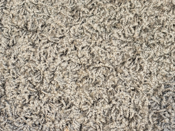 Commercial Carpet Cleaning Kaysville Ut